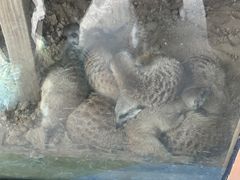 -祥源·阜阳生态乐园