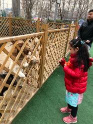 -萌宠亲子动物乐园(槐房万达店)