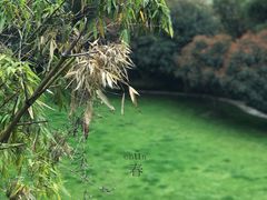 -福1015(愚园路店)