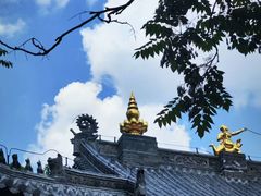 -护国法轮寺