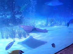 -沈阳海洋探索中心