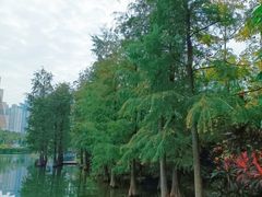 -荔枝公园(福田区)
