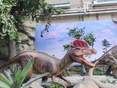 -国家自然博物馆