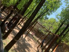 -蟠龙山长城景区