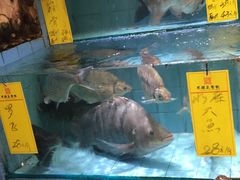 水产区-有腥气私房菜·寻味顺德