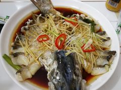 -煲来饱去冷水鱼