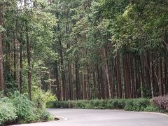 -姑婆山旅游区
