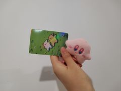 -猫遇摄影工作室