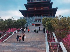 -古柏渡飞黄旅游区