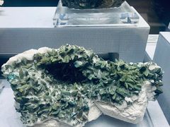 -湖南省地质博物馆