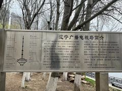 -辽宁电视塔