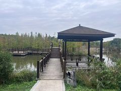 -同里国家湿地公园