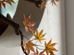 -中国沉香文化博物馆