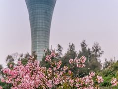 -狐尾山公园