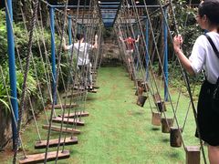 -铁山坪森林公园