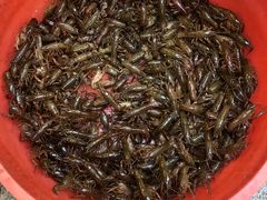 -青石桥市场北1-27号