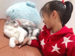 -1013 PET SHOP精品宠物商店(丁香店)