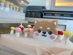 -汪说喵讲宠物乐园宠物酒店(红星美凯龙店)