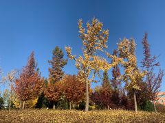 -中关村生命科学园