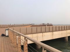 -东疆建设开发纪念公园
