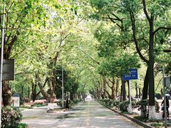 -四川大学(望江校区)