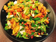 轰炸鸡-厨掌柜陆老师(天津之眼店)