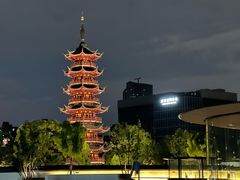 -龙华素斋(龙华路店)