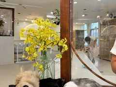 -共舞时光猫咖·狗咖(新街口店)