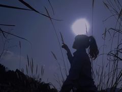 -白鹭湾湿地公园