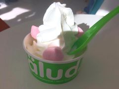 -Salud撒露欧洲冻酸奶(798艺术区店)