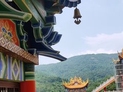 -东莞市大岭山森林公园