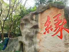 -杭州黄龙洞
