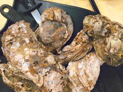 桑拿蠔-天宝食坊·啫啫煲大排档(西华路店)