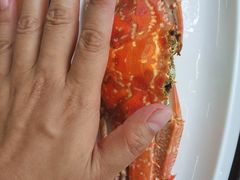 -梅姐海鲜餐厅(水头海鲜街店)