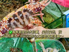 -三亚亚特兰蒂斯度假区