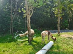 -龙湾潭国家森林公园