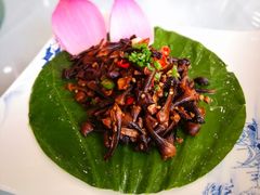 -梅林春晓花园餐厅