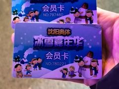 -沈阳奥体冰雪嘉年华