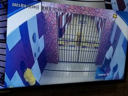 -疯狂的麦咭(长沙店)