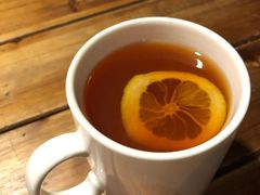 -百好乐宠物友好餐厅(朝外大街店)