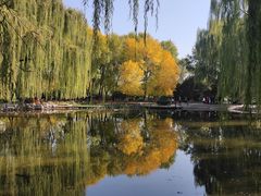 -玲珑塔公园