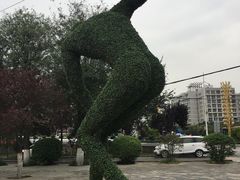 -咸阳湖景区-古渡公园