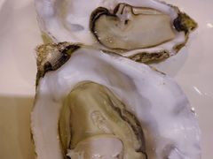 鲜蒸生蚝-海大大蒸汽海鲜餐厅·粤菜·特色小炒(欢乐颂店)