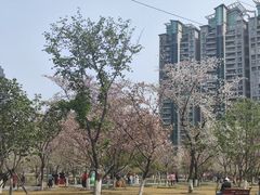 -西北湖绿化广场