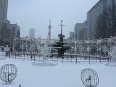 -大通公园