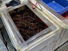 -先锋海鲜市场