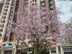 -北京清河万象汇