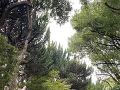 -上海瑞金洲际酒店