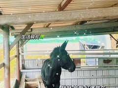 -元鼎宝驴香·全驴宴(江宁店)