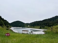 -武陵山森林公园